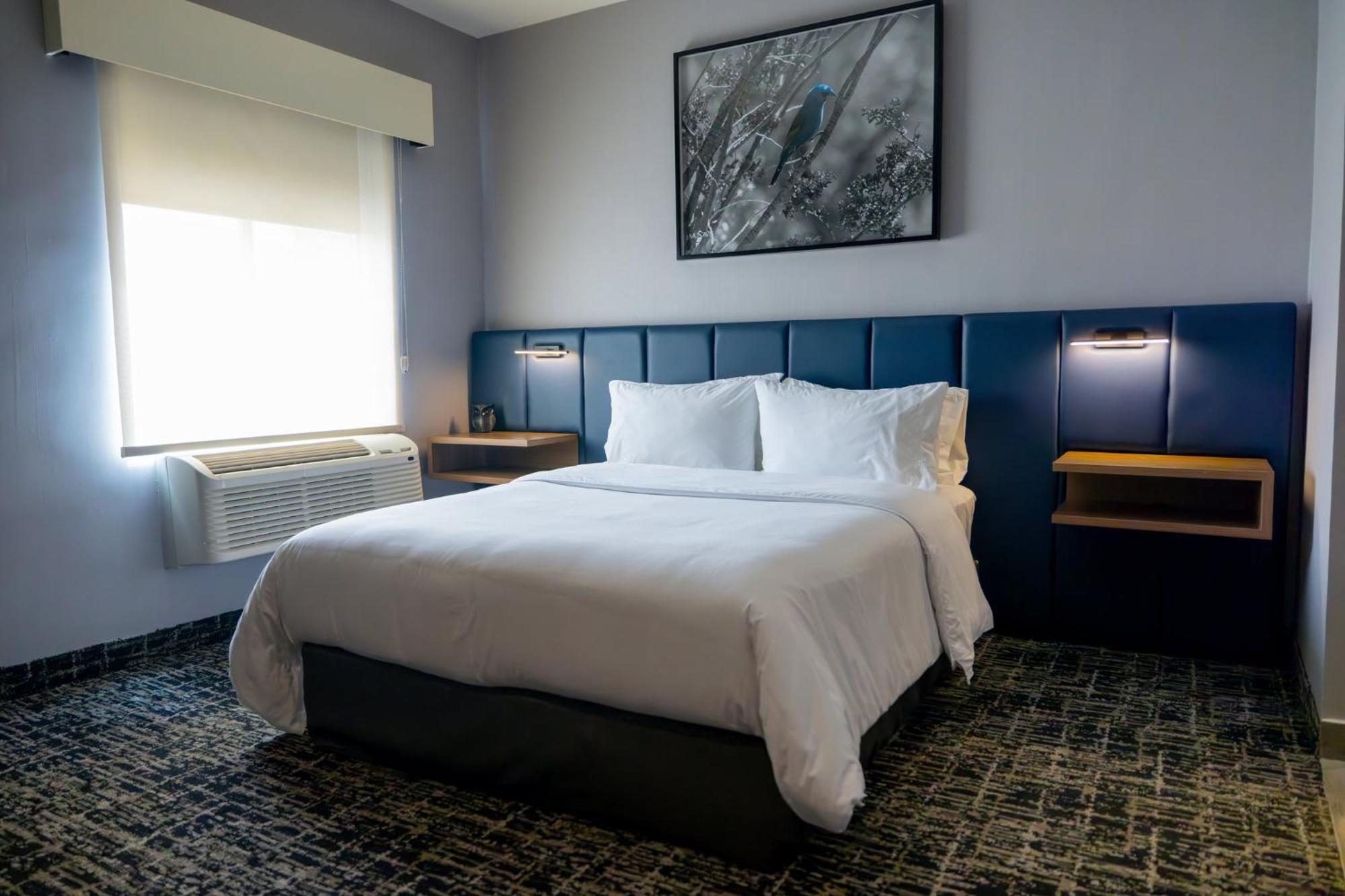 Voco Saltillo Suites By Ihg 外观 照片
