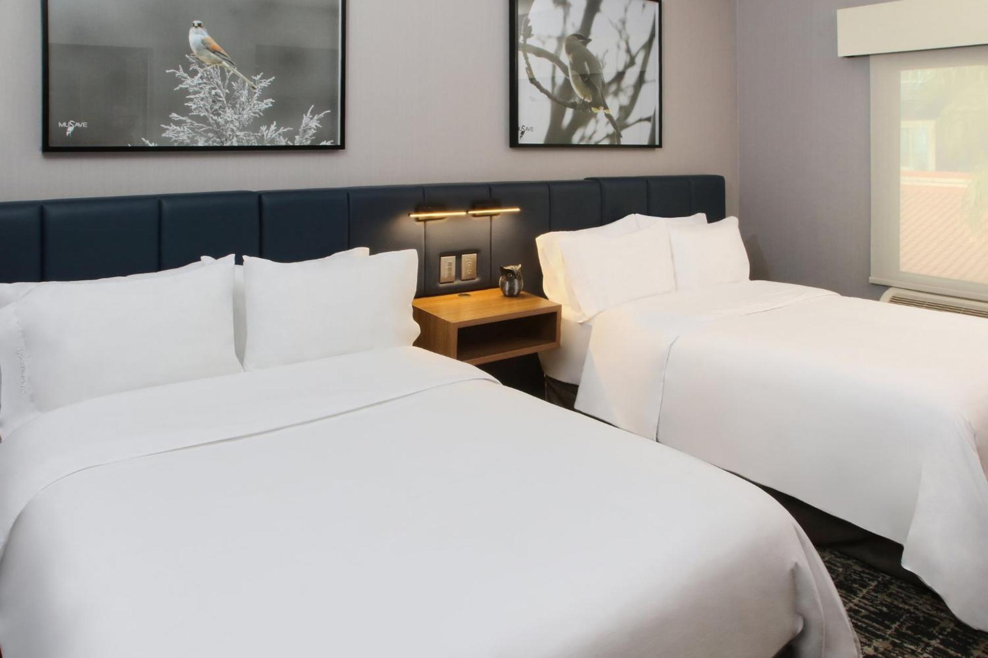 Voco Saltillo Suites By Ihg 外观 照片