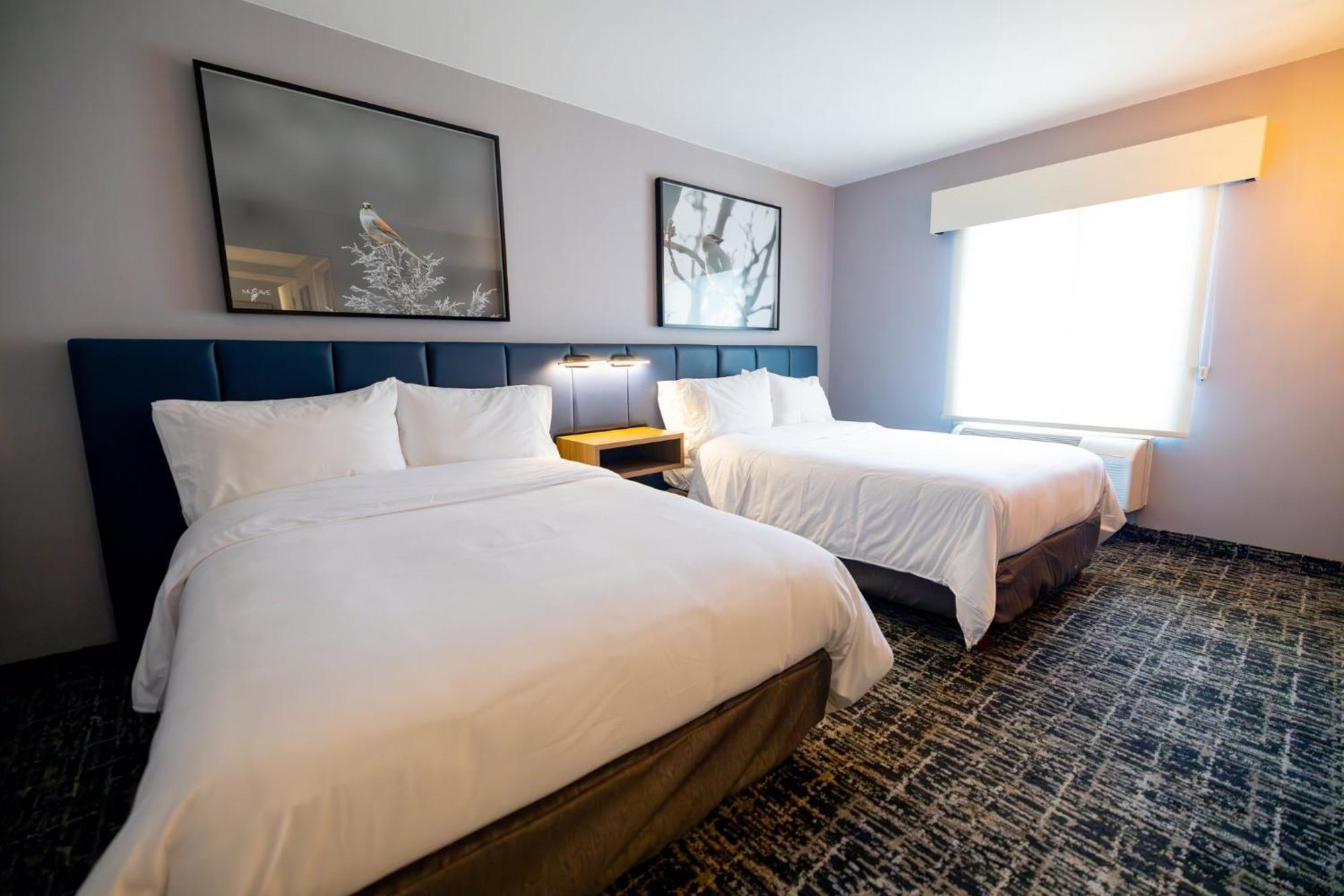 Voco Saltillo Suites By Ihg 外观 照片