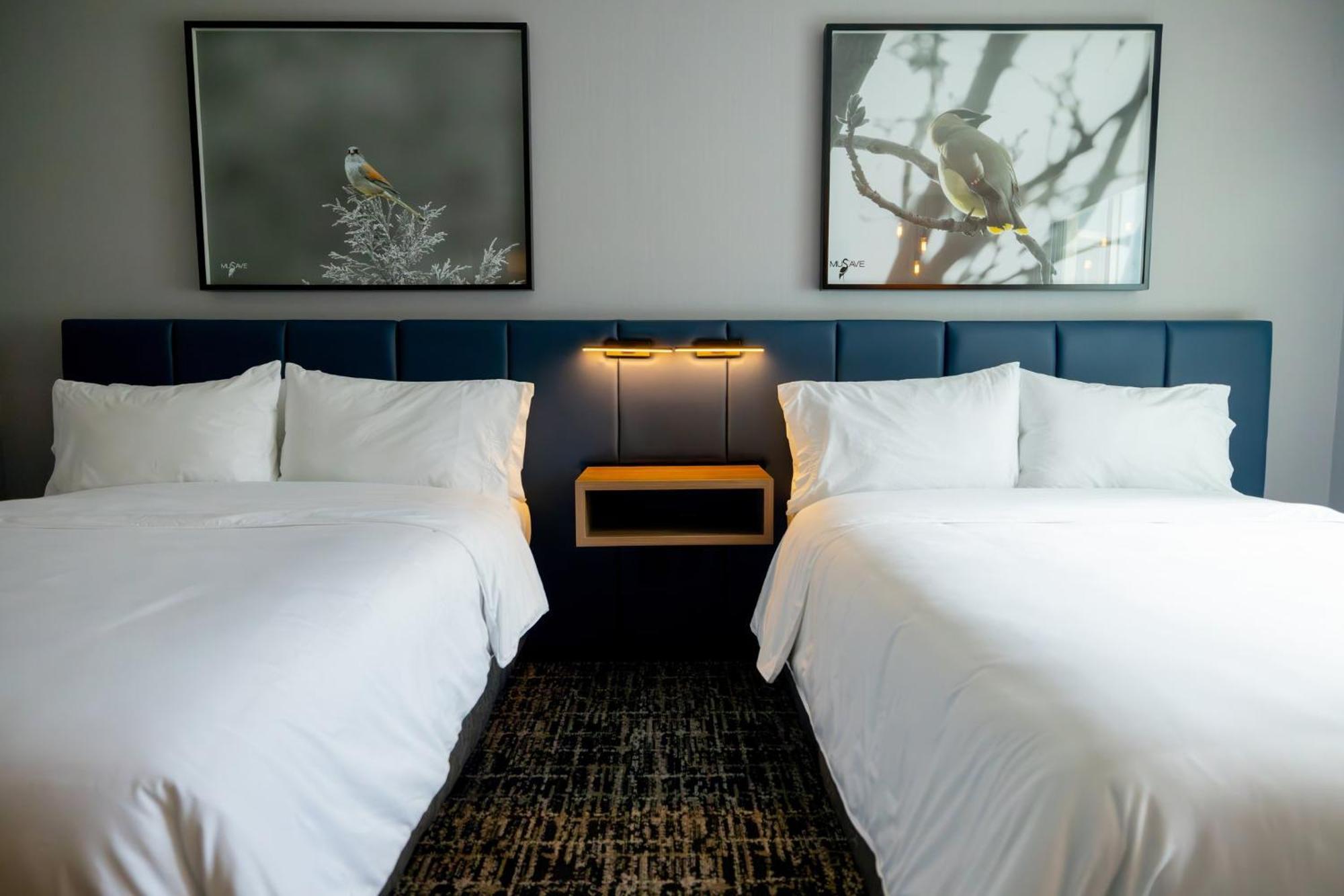 Voco Saltillo Suites By Ihg 外观 照片